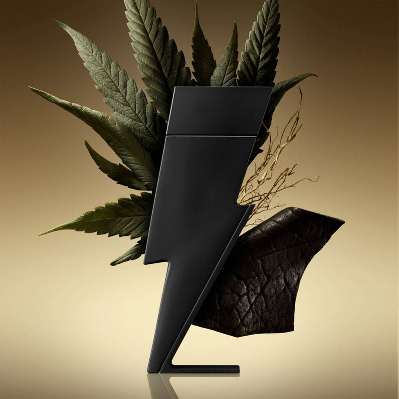 Bad Boy Carolina Herrera woda perfumowana dla mężczyzn 100 ml