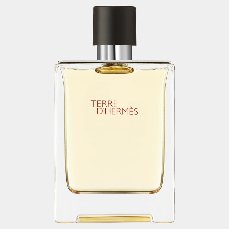 Hermès Terre D'hermes woda toaletowa dla mężczyzn 100 ml