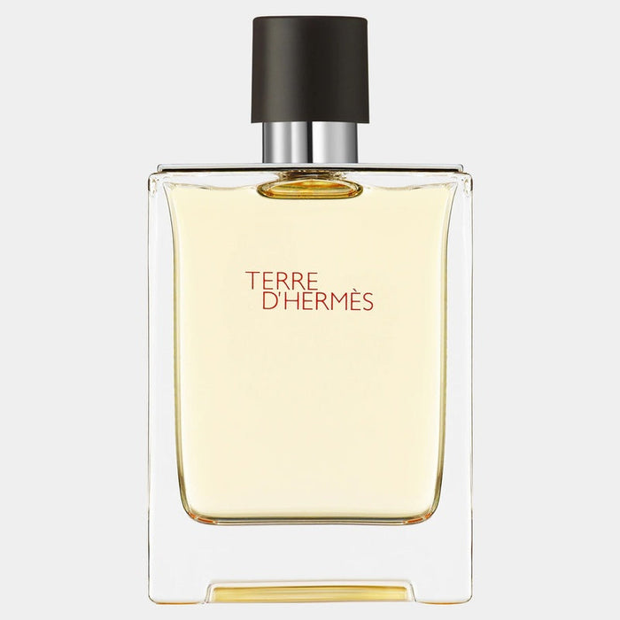 Hermès Terre D'hermes woda toaletowa dla mężczyzn 100 ml